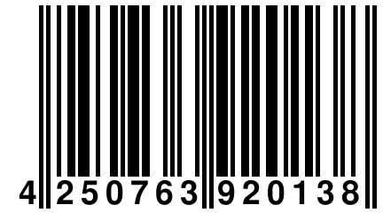 4 250763 920138