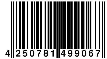 4 250781 499067