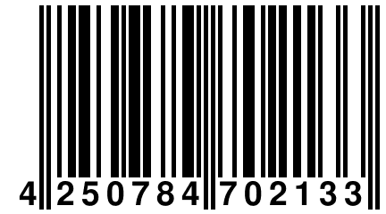 4 250784 702133
