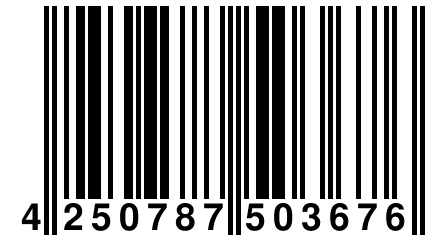 4 250787 503676