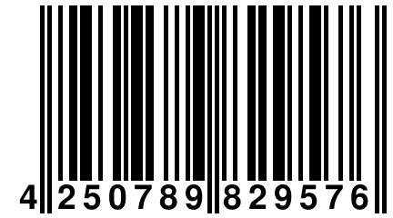 4 250789 829576