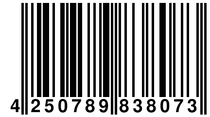 4 250789 838073