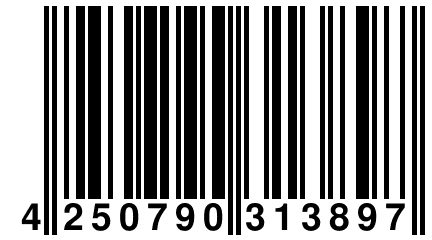 4 250790 313897