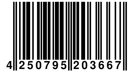 4 250795 203667