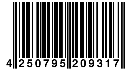 4 250795 209317