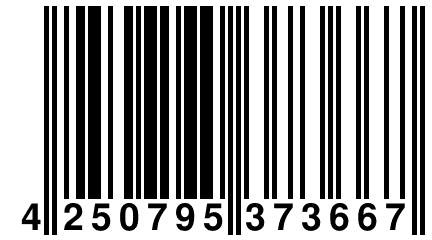 4 250795 373667