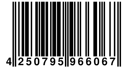 4 250795 966067