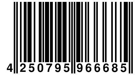 4 250795 966685