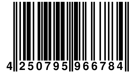4 250795 966784