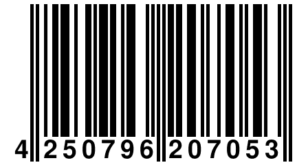 4 250796 207053
