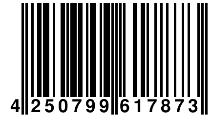 4 250799 617873