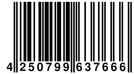 4 250799 637666
