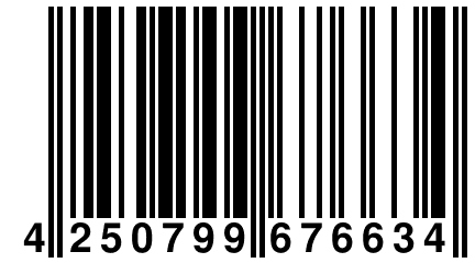 4 250799 676634