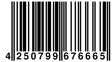 4 250799 676665