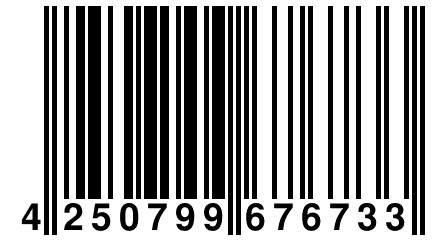 4 250799 676733