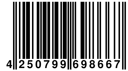 4 250799 698667