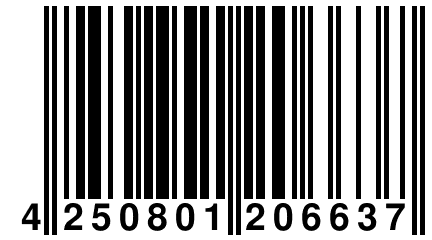 4 250801 206637