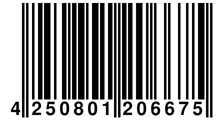 4 250801 206675