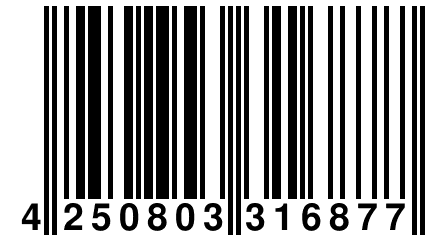 4 250803 316877