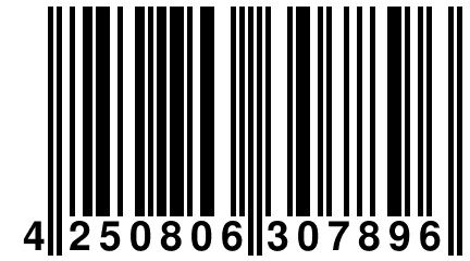 4 250806 307896