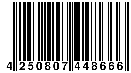 4 250807 448666
