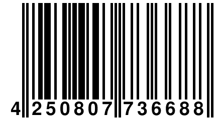 4 250807 736688