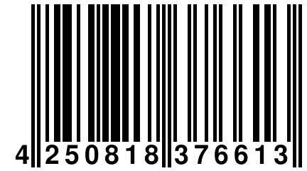 4 250818 376613