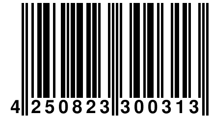 4 250823 300313