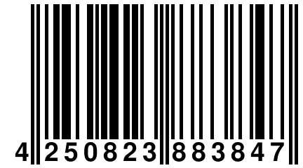 4 250823 883847