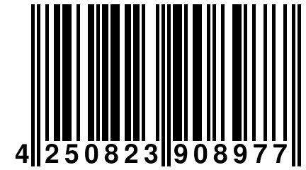 4 250823 908977