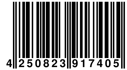 4 250823 917405