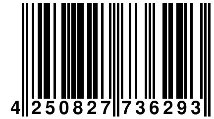 4 250827 736293