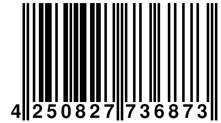 4 250827 736873
