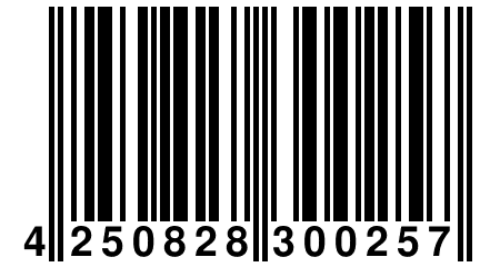4 250828 300257