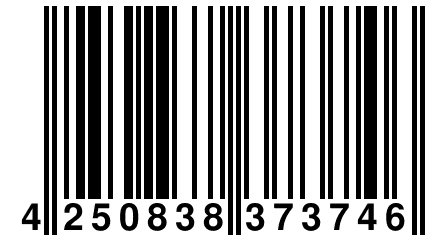4 250838 373746