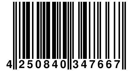 4 250840 347667