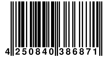 4 250840 386871