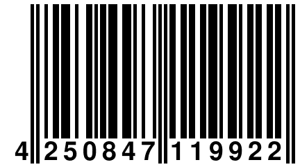 4 250847 119922