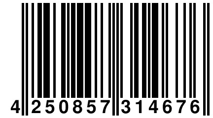 4 250857 314676