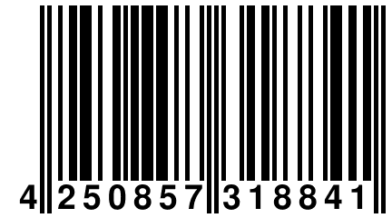 4 250857 318841