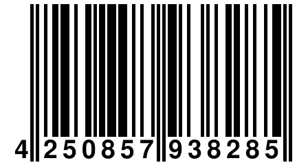 4 250857 938285