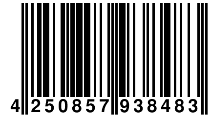 4 250857 938483