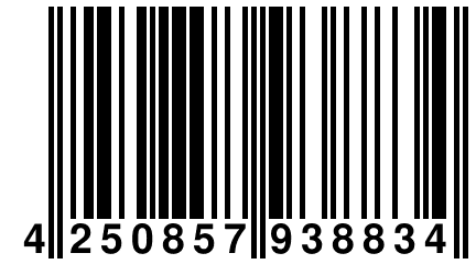 4 250857 938834