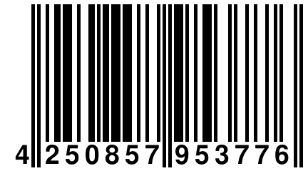 4 250857 953776