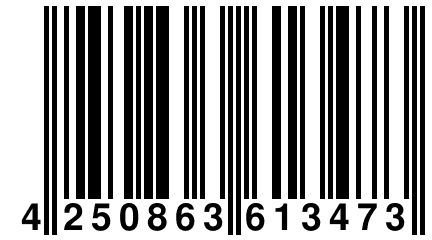 4 250863 613473