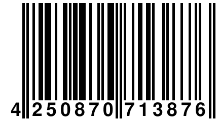 4 250870 713876