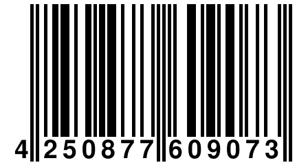 4 250877 609073