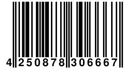 4 250878 306667