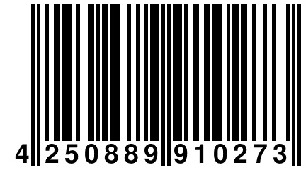 4 250889 910273