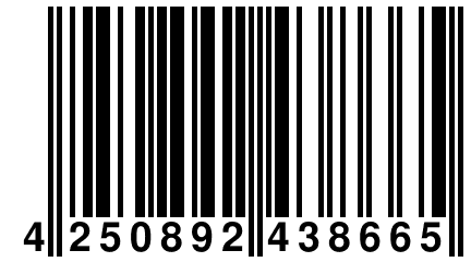 4 250892 438665